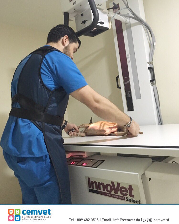 centro de especialidades medicas veterinarias cemvet 7