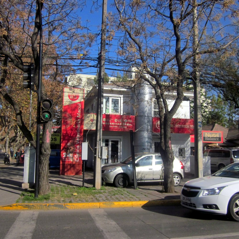 centro de especialidades medicas veterinarias cemvet 8