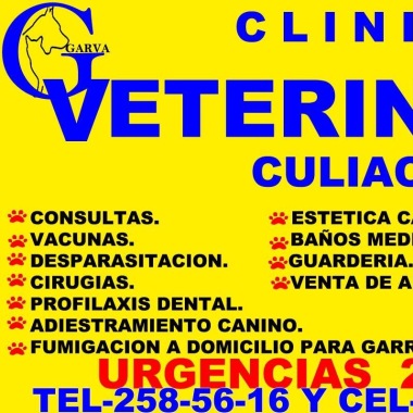 centro de especialidades medicas veterinarias cemvet 9