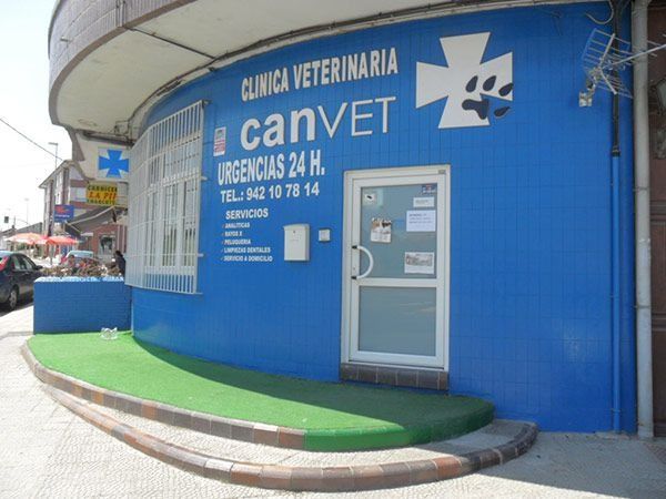 centro de especialidades medicas veterinarias cemvet