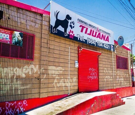 centro medico veterinario 1