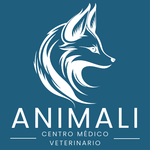 centro medico veterinario 2