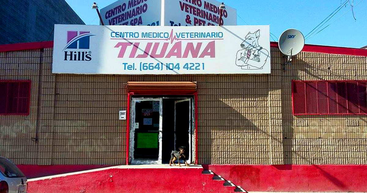 centro medico veterinario 5