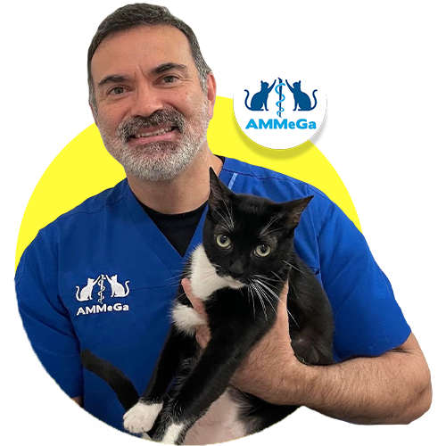 centro veterinario del caribe 3