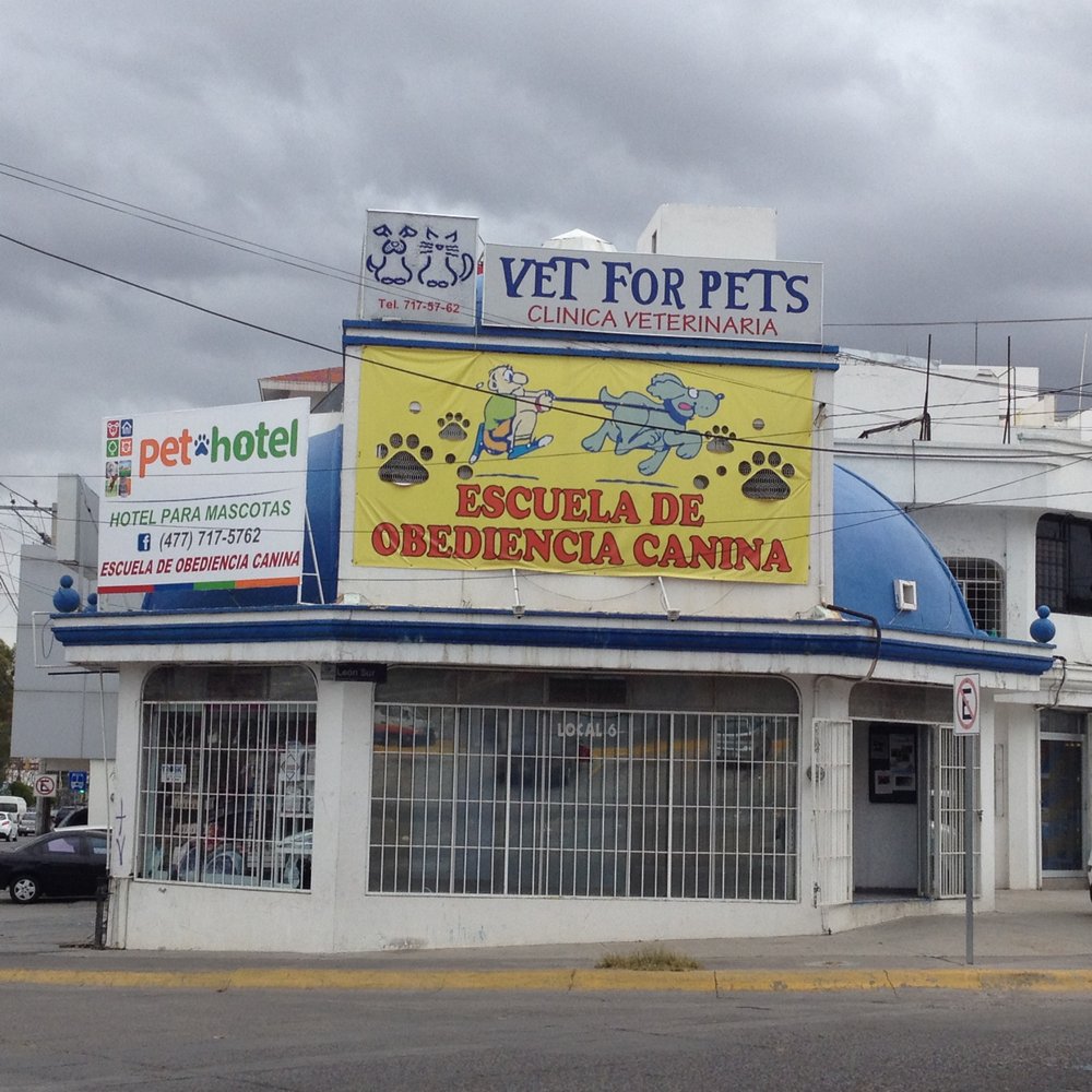 centro veterinario dr mena 1