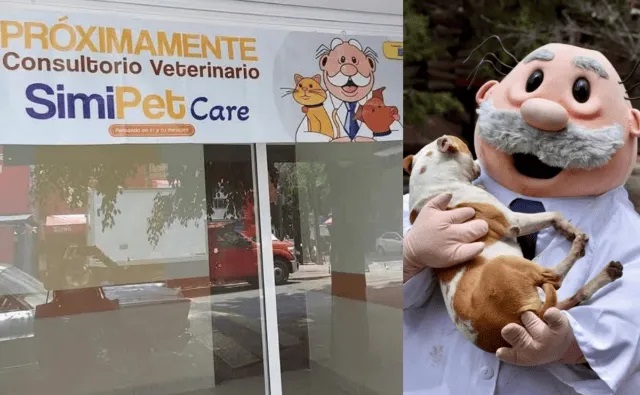 centro veterinario dr mena