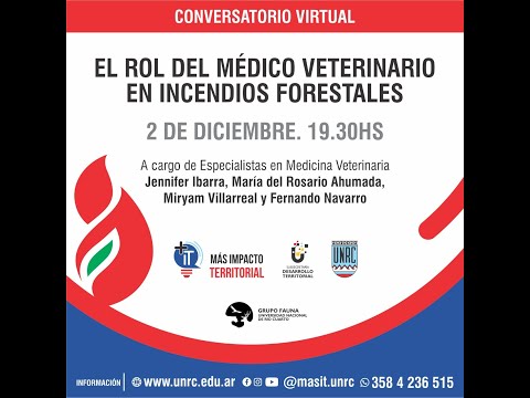 centro veterinario hollywoof 10