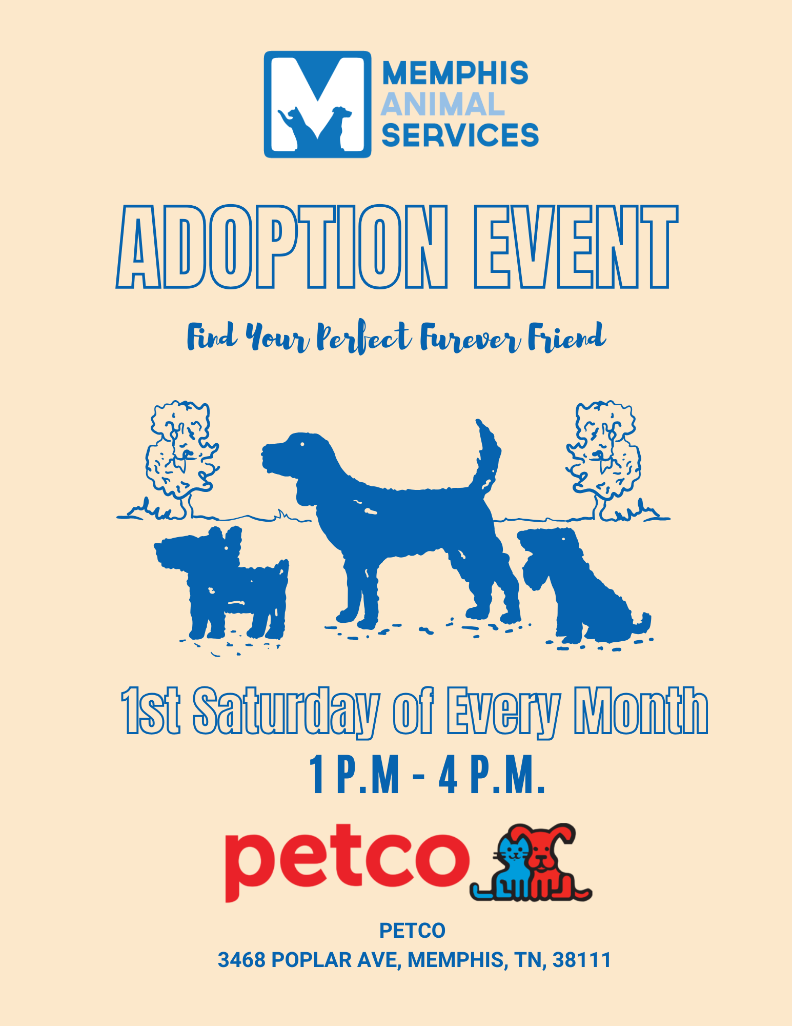 centro veterinario hollywoof