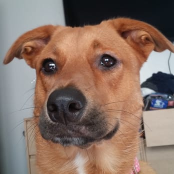 century pet clinic 2