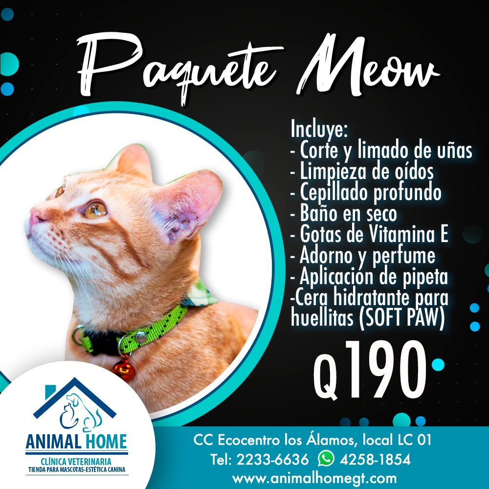 cera clinica veterinaria 1