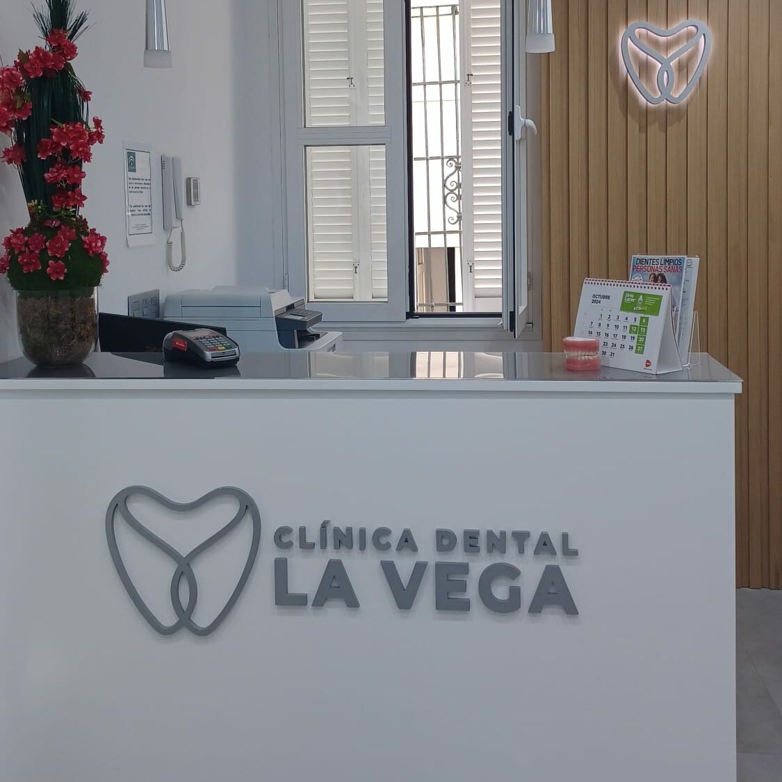 clinica de frenos la vega
