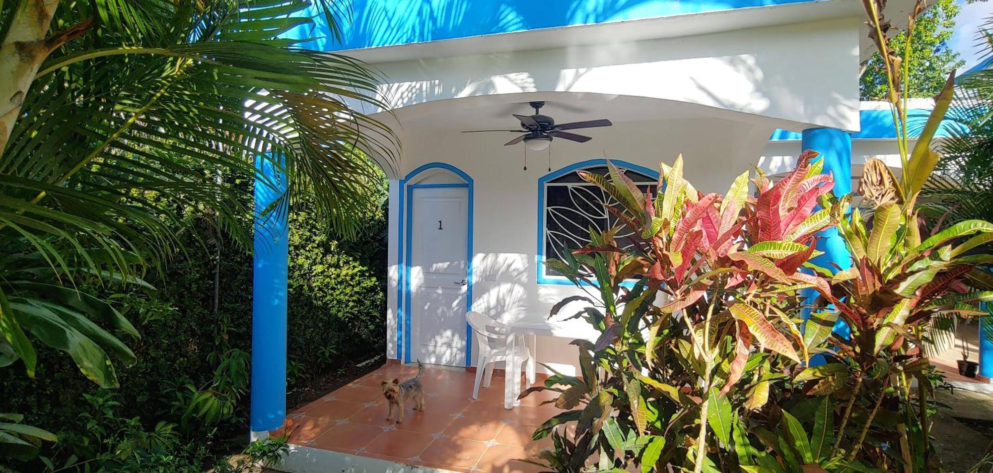 clinica especializada internacional las terrenas