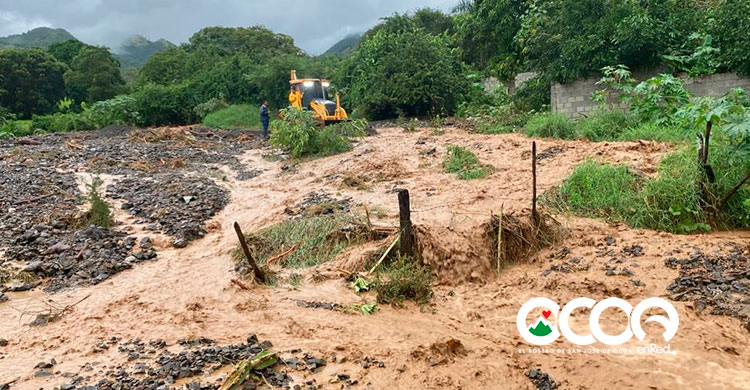 clinica rural palmar de ocoa