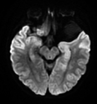 clinica rural pedro corto