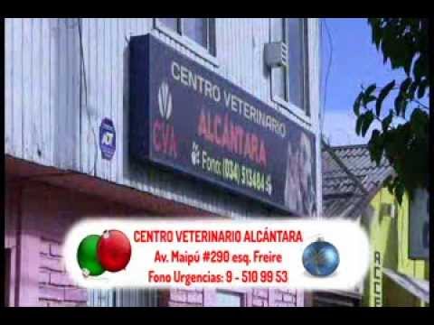 clinica veterinaria alcantara