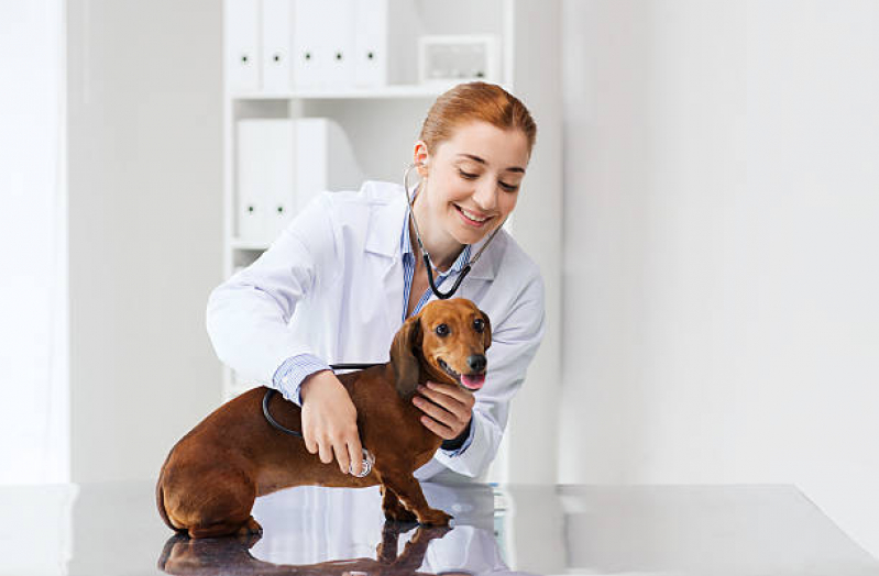 clinica veterinaria america 10