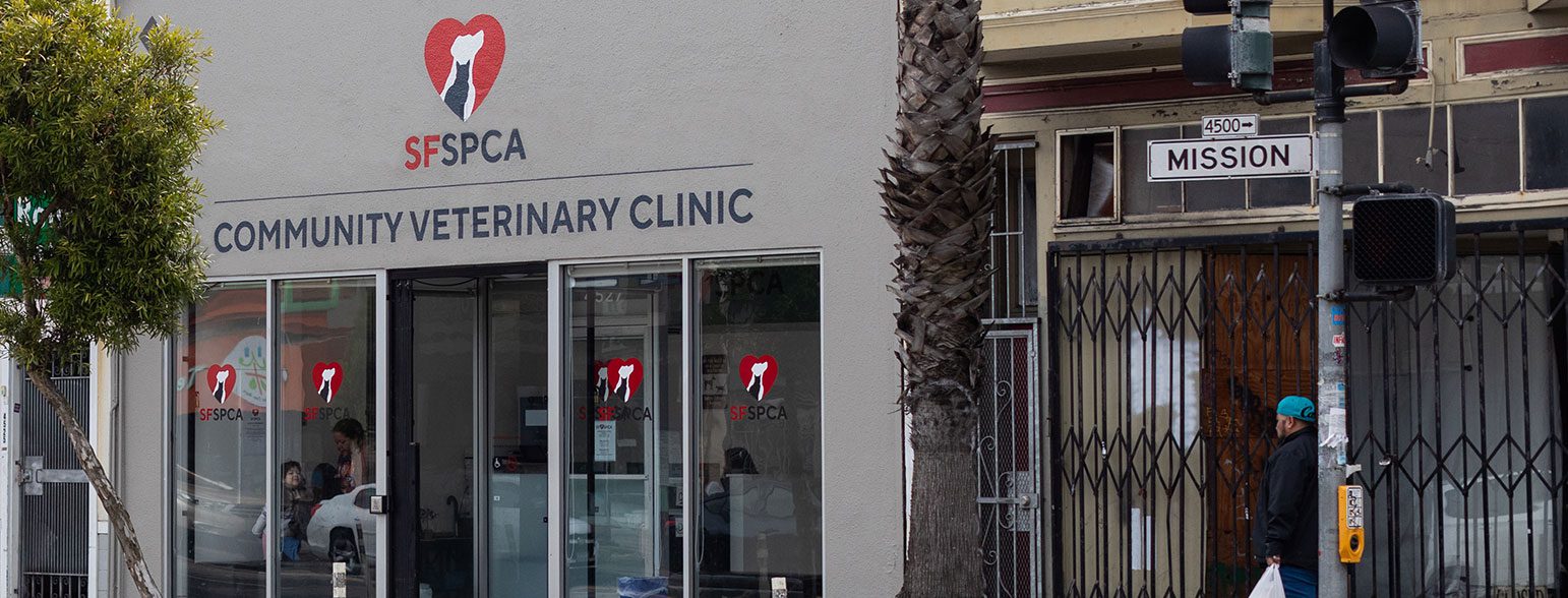 clinica veterinaria america 3