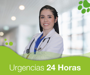 clinica veterinaria america 6