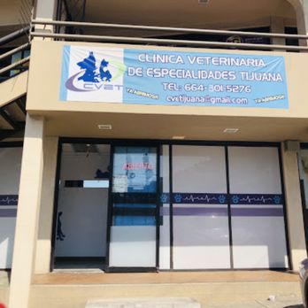 clinica veterinaria america 8