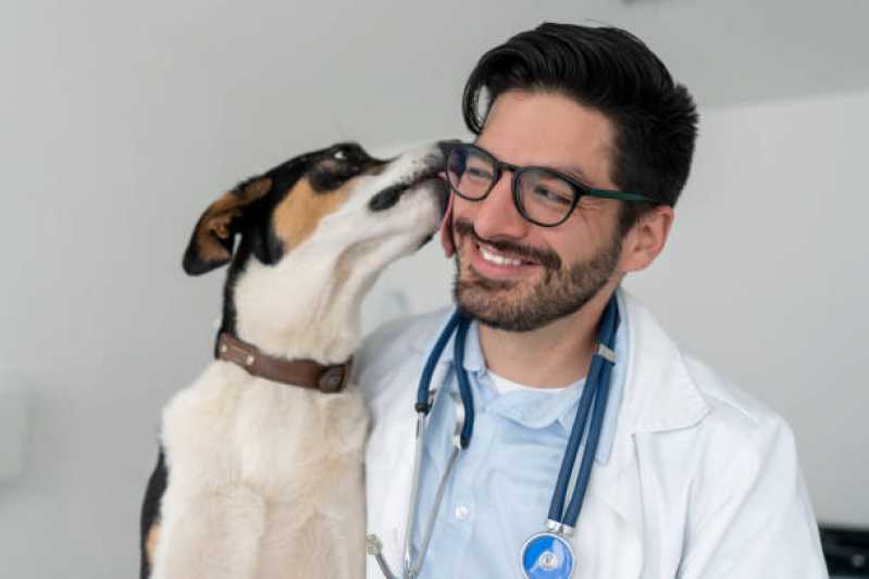 clinica veterinaria america 9