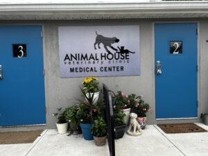 clinica veterinaria animal home