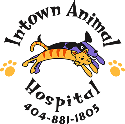 clinica veterinaria animal stop shop