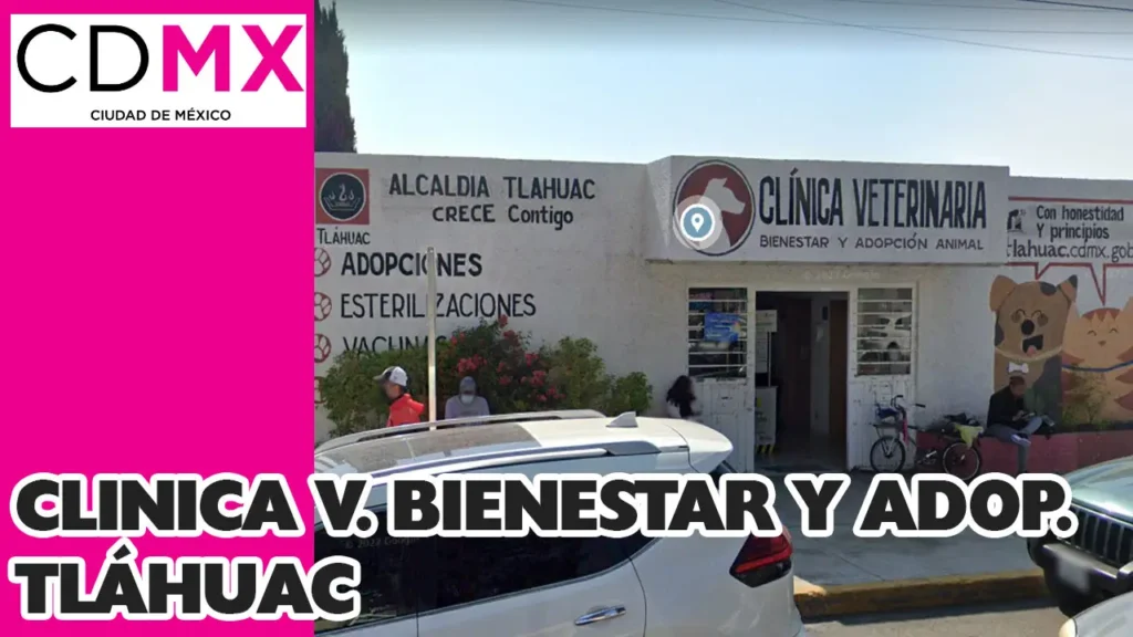 clinica veterinaria bienestar animal