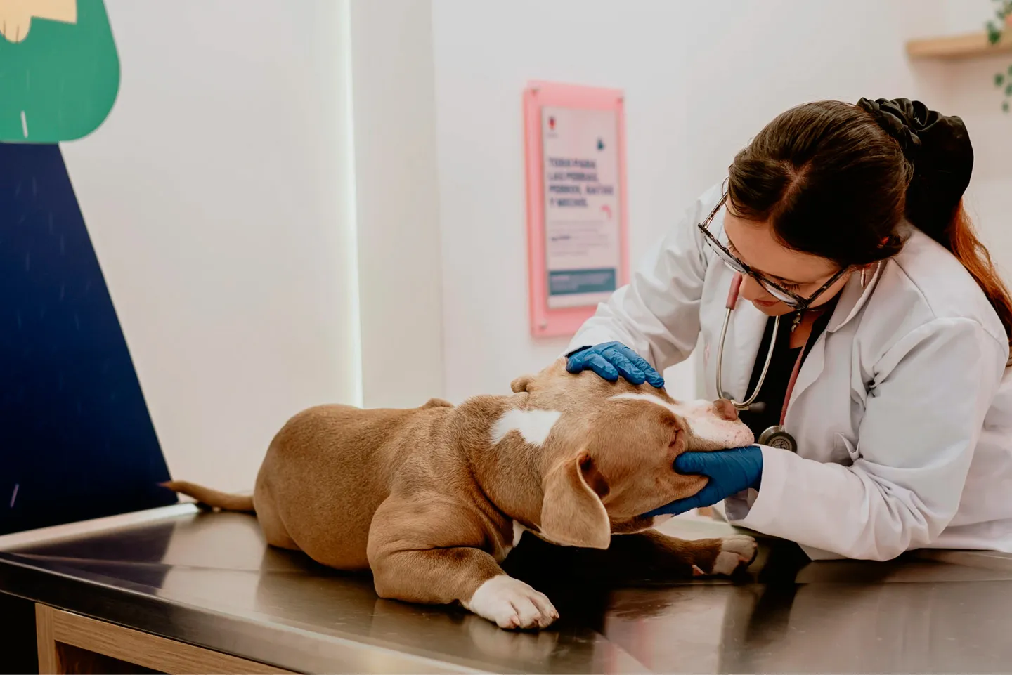 clinica veterinaria bueno