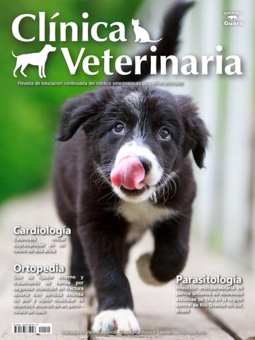 clinica veterinaria central 1