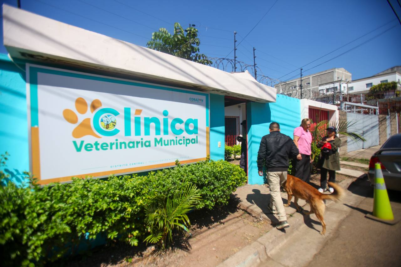 clinica veterinaria central 2