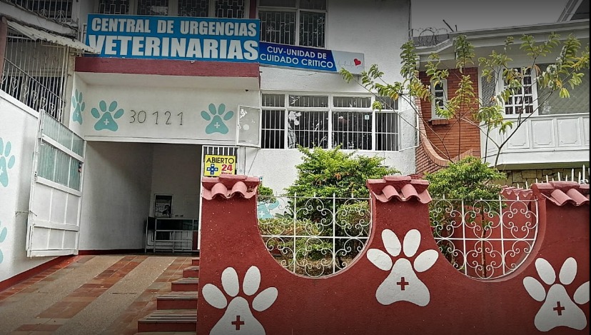 clinica veterinaria central 3