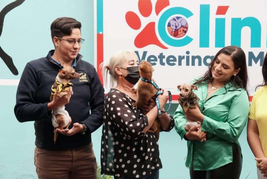 clinica veterinaria central