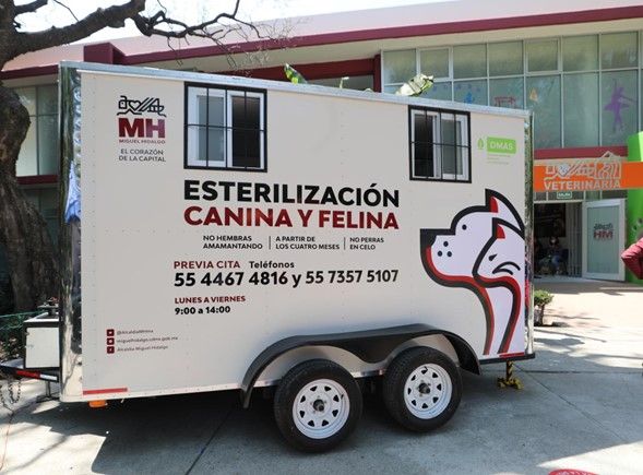 clinica veterinaria dioel 1