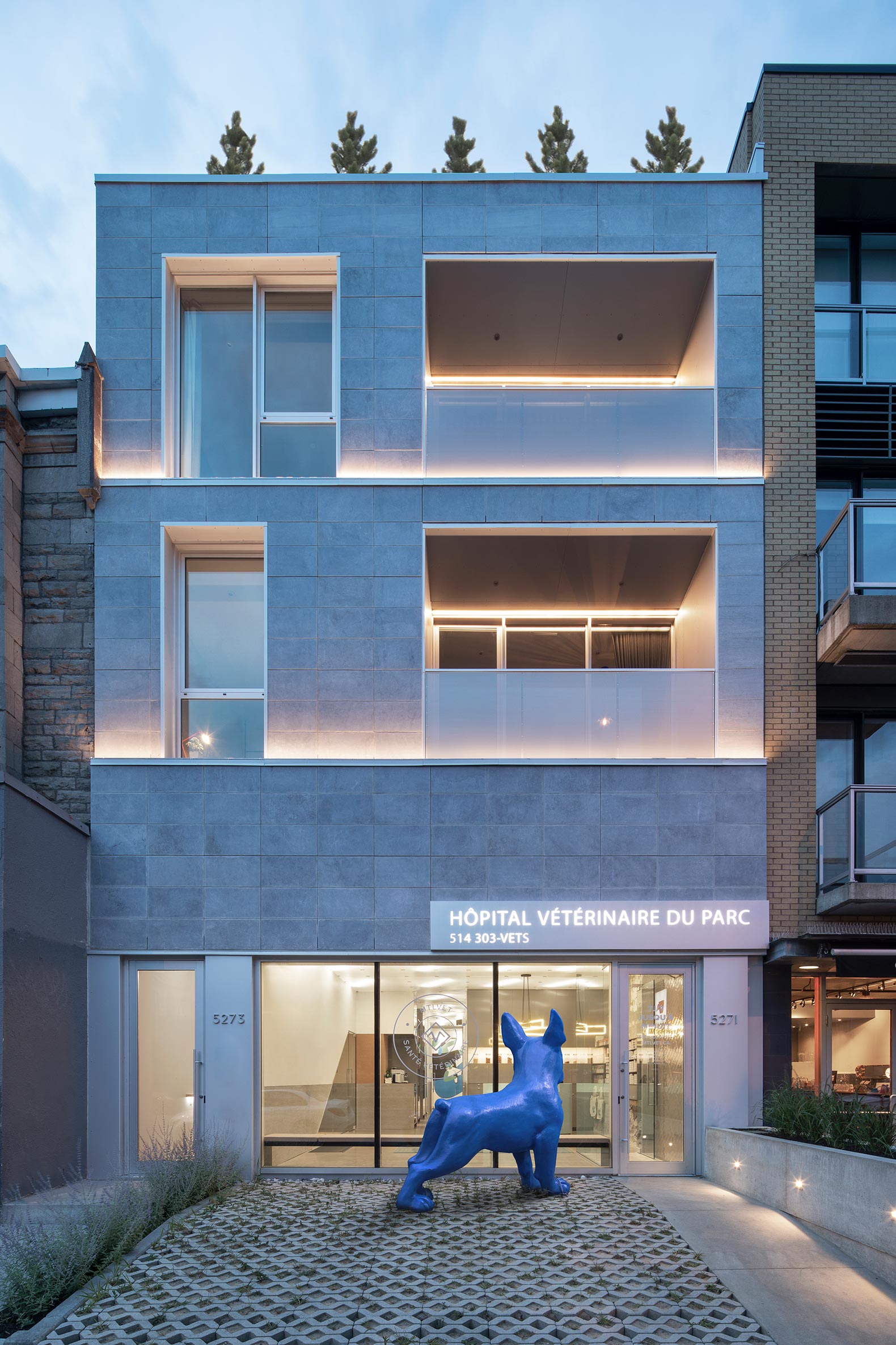 clinica veterinaria doctor renaud