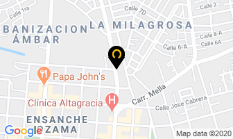 clinica veterinaria dr alexis encarnacion minyety