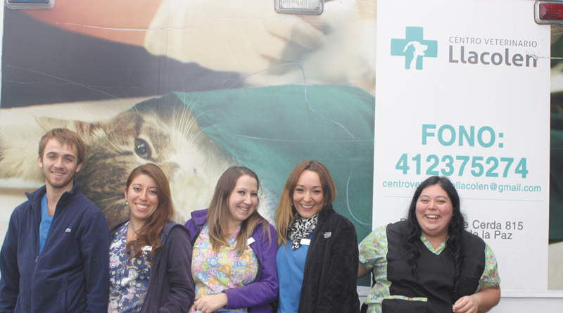 clinica veterinaria dr cerda 3