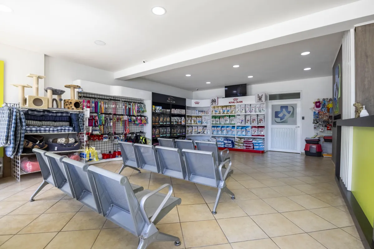 clinica veterinaria dr de la cruz pop