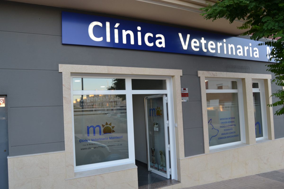 clinica veterinaria dr minaya