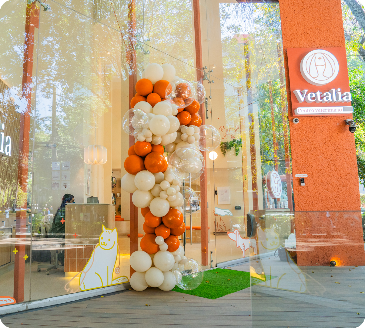 clinica veterinaria dr polanco