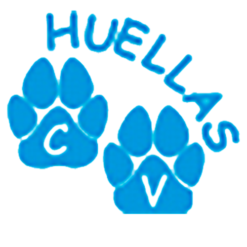 clinica veterinaria huella sana 1