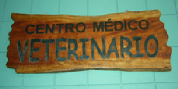 clinica veterinaria la dura