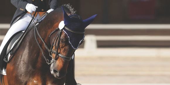 clinica veterinaria los establos cap cana