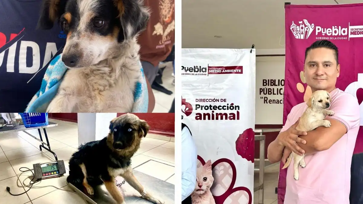 clinica veterinaria maritza torres