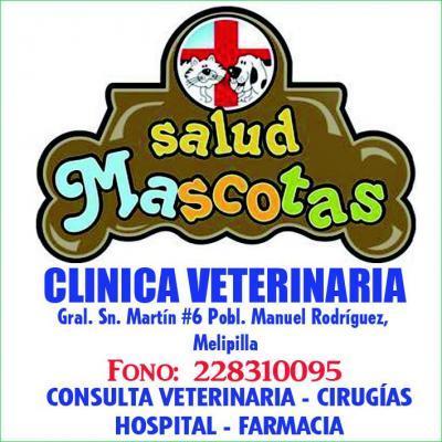 clinica veterinaria metropolitana 4