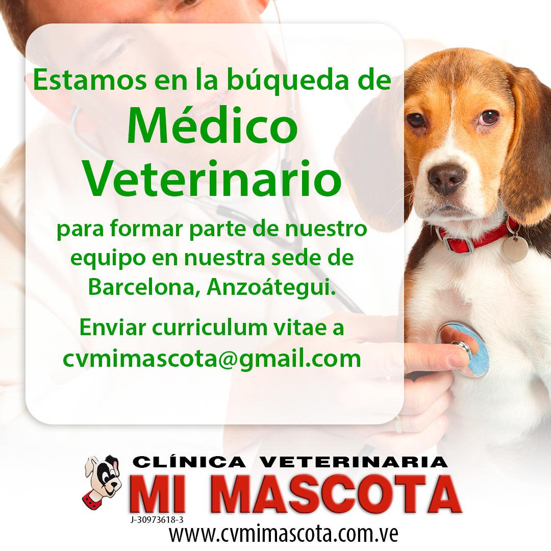 clinica veterinaria mi mascota 1