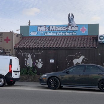 clinica veterinaria mi mascota 2