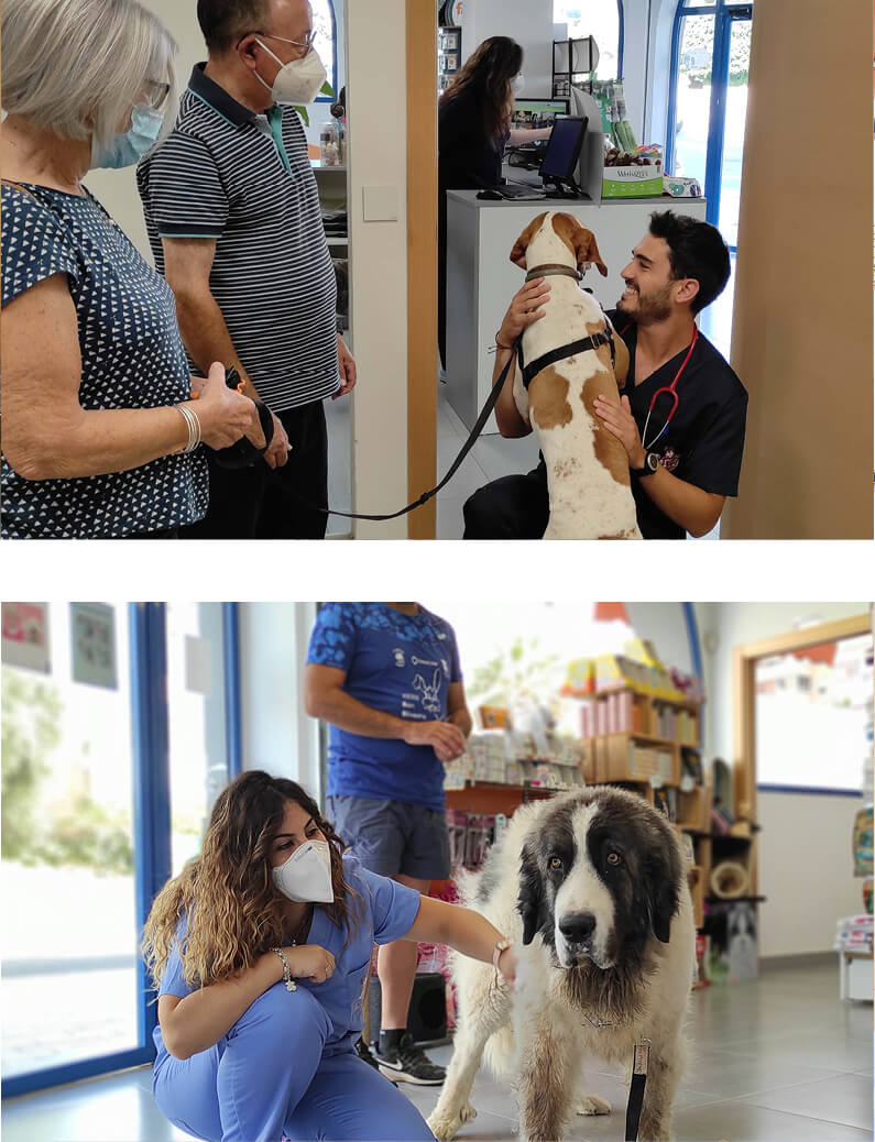 clinica veterinaria natural romana