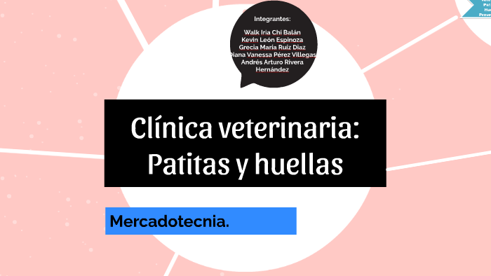 clinica veterinaria patitas 1