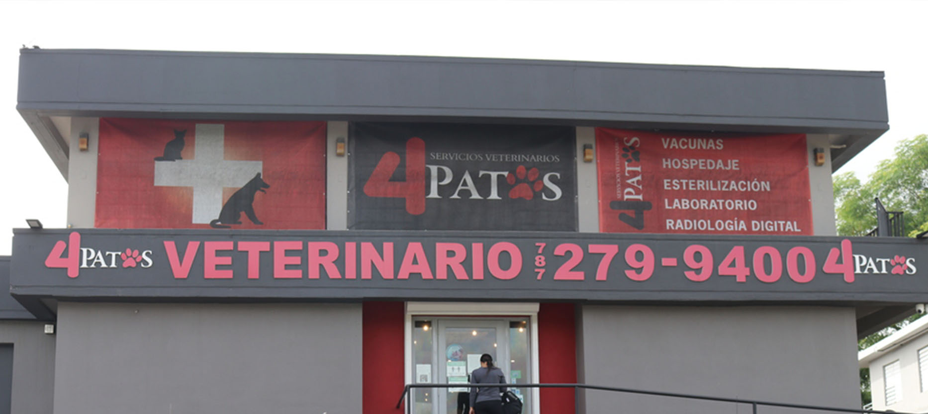 clinica veterinaria patitas 2