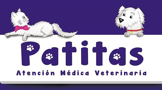 clinica veterinaria patitas